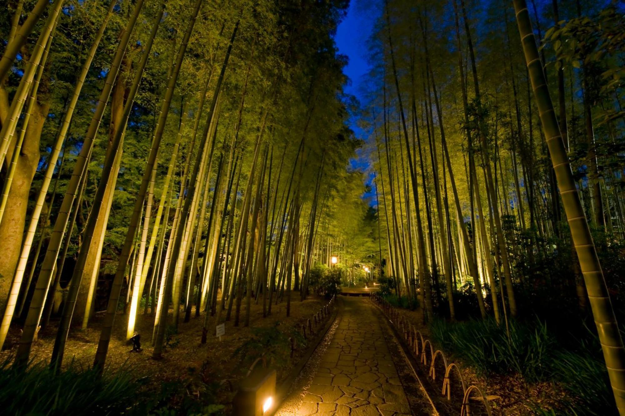 Marukyu Ryokan Ідзу Екстер'єр фото